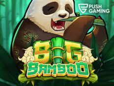 Springbok casino bonus codes 202381